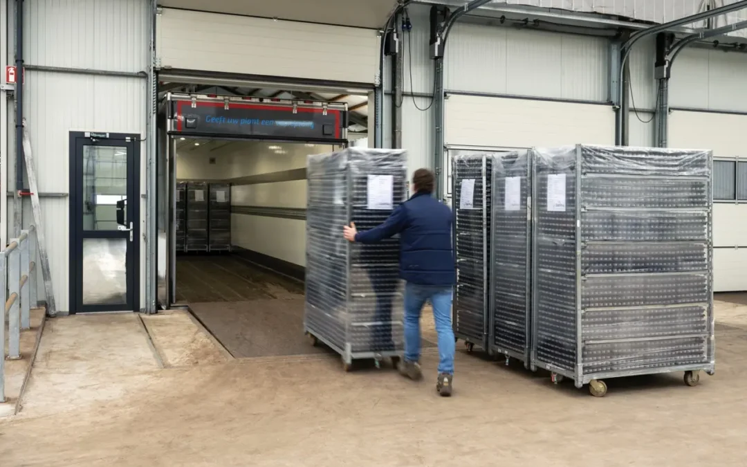 Nieuwsbericht 5